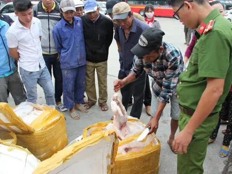 Huế: Phát hiện hơn 400kg thịt heo thối không rõ nguồn gốc