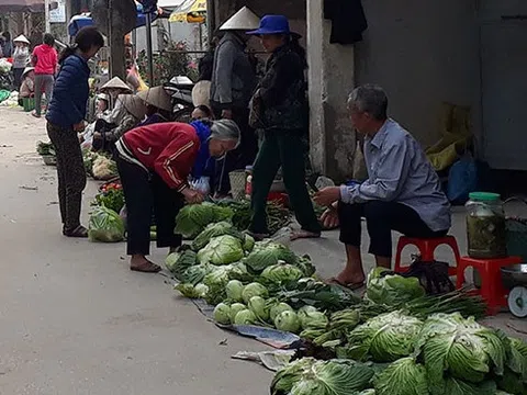 Thực phẩm xanh tại những khu chợ quê thu hút người tiêu dùng