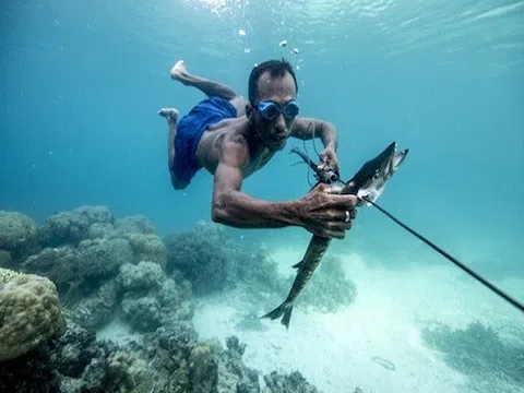Kì lạ về \"Tộc người cá\" có thể nín thở 13 phút dưới  nước, lặn sâu tới 70m