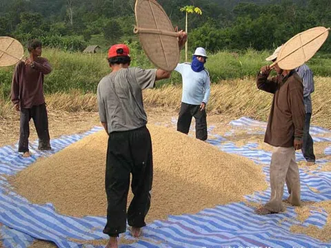Bài học xây dựng thương hiệu gạo của Thái Lan