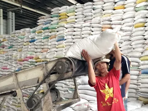 Việt Nam thất bại trong đấu thầu bán gạo cho Philippines