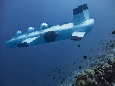 Tận hưởng dịch vụ du lịch sang chảnh: Ngồi tàu ngầm đi ngắm san hô