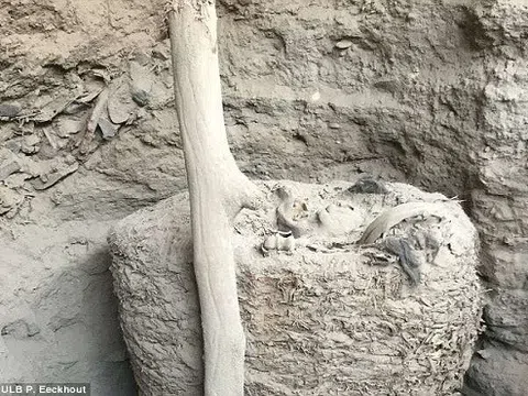 Phát hiện xác ướp nghìn năm tuổi bọc trong quan tài bằng vải 