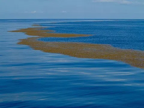 Khám phá bí ẩn về vùng biển duy nhất không có bờ trên thế giới