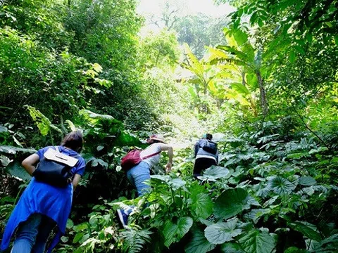 Trekking xuyên rừng Ba Vì trên cung đường mới