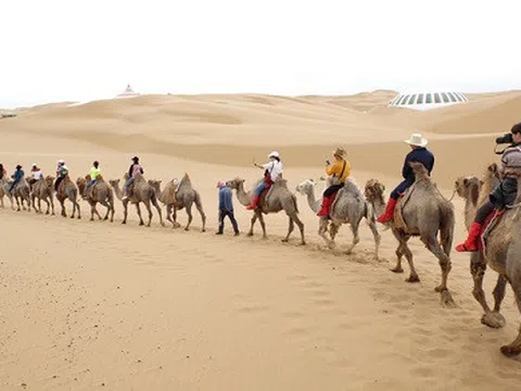 Trải nghiệm phi ngựa trên thảo nguyên, cưỡi lạc đà ở sa mạc Nội Mông