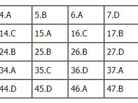 Bài giải đề thi THPT Quốc Gia 2018 môn Anh - Mã đề 423