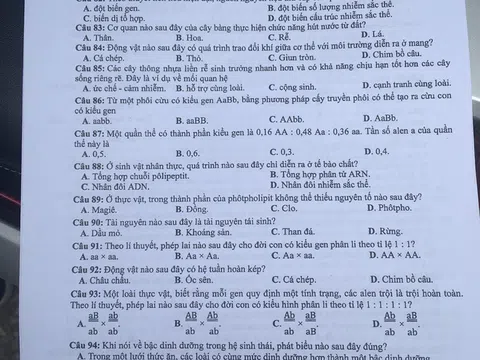 Đề thi môn Sinh học THPT quốc gia 2018 - Mã đề 211