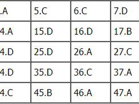 Bài giải đề thi THPT Quốc Gia 2018 môn Anh - Mã đề 409 