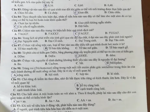 Đề thi môn Sinh học THPT quốc gia 2018 - Mã đề 206