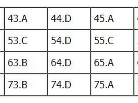 Bài giải đề thi THPT Quốc gia môn Hóa học - Mã đề 213