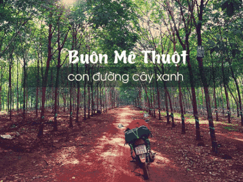 Những cung đường phượt đẹp nhất Việt Nam dành cho dân đam mê xê xịch