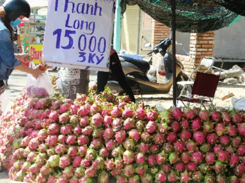 Thanh long giá rẻ bán đầy vỉa hè Sài Gòn