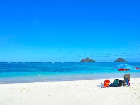 Bãi cát trắng tuyệt đẹp ở Hawaii thực chất chỉ là... phân cá