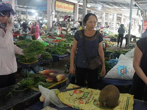Nghệ An, Hà Tĩnh: Rau xanh khan hiếm, tăng giá gấp đôi sau bão