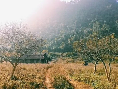 9 điểm đến gây thương nhớ Mộc Châu mùa hè này, sắm sửa túi áo lên đường ngay thôi!