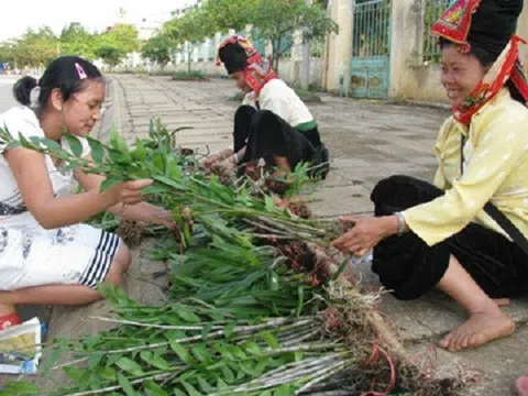 Giật mình với những cuộc giao dịch tiền tỷ trong giới chơi lan