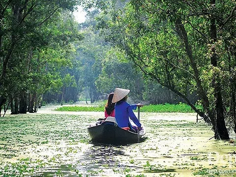 ‘Lạc trôi’ giữa mùa hoa từ vùng cao Tây Bắc đến miền Tây nước nổi