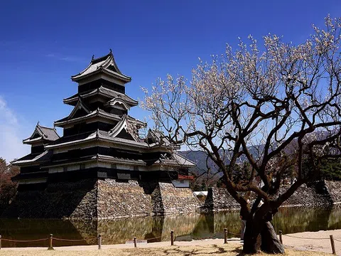 Chiêm ngưỡng vẻ đẹp của lâu đài đẹp nhất ở Nhật Bản