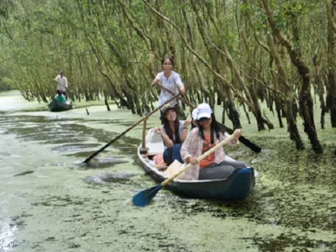 Khám phá 4 địa điểm tuyệt đẹp ở Việt Nam vào mùa thu