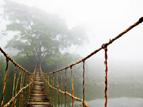 Cây cầu gỗ tại Sa Pa vô tình nổi tiếng trên khắp thế giới