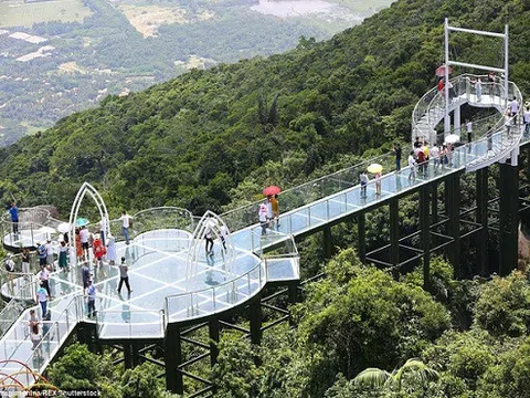Trung Quốc mở cửa cầu đáy kính đi xuyên rừng ở độ cao 450m
