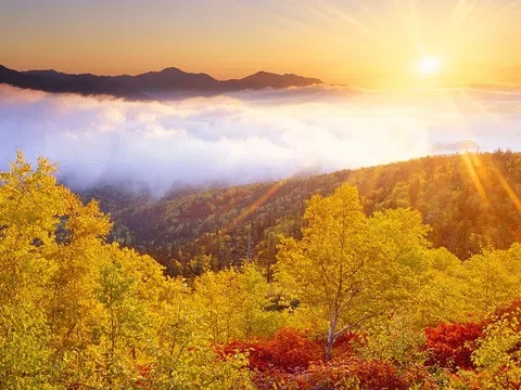 Điểm danh những địa điểm cảnh sắc mùa thu đẹp nhất nước Nhật