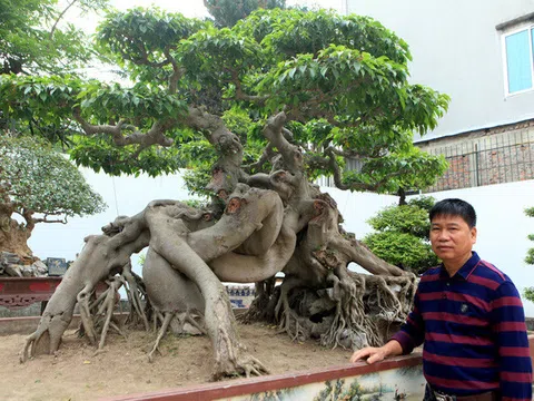 Đại gia sở hữu vườn cảnh \'khủng nhất Việt Nam\' từng mất trắng 40 tỷ vì \'sính ngoại\'
