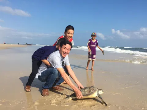 Cứu thành công hai cá thể rùa biển tại Quảng Trị
