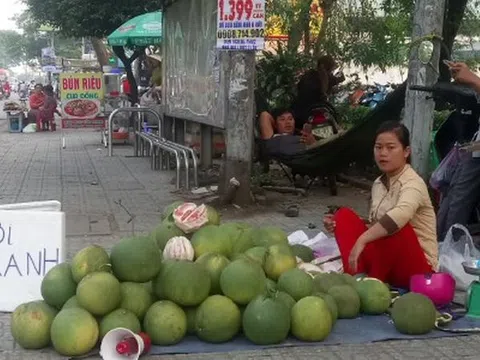 Bưởi da xanh giá rẻ chất đống bán vỉa hè Sài Gòn