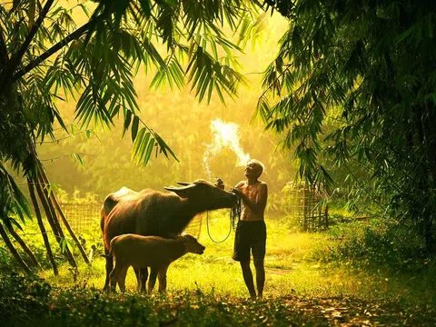 Cuộc sống giống như thuyền trên nước, chở quá nhiều đồ sẽ dễ bị nhấn chìm 
