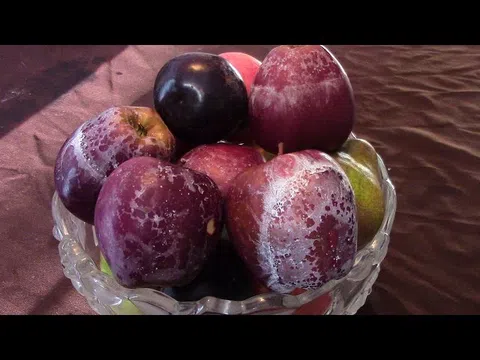 Dội nước nóng lên quả táo, cách hay nhất để kiểm tra `táo độc`