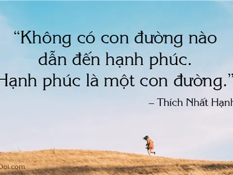 Những câu nói hay về cuộc sống có thể bạn chưa biết