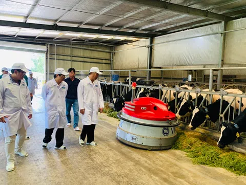 Resort bò sữa Tây Ninh là hạt nhân để xây dựng vùng chăn nuôi bò sữa an toàn