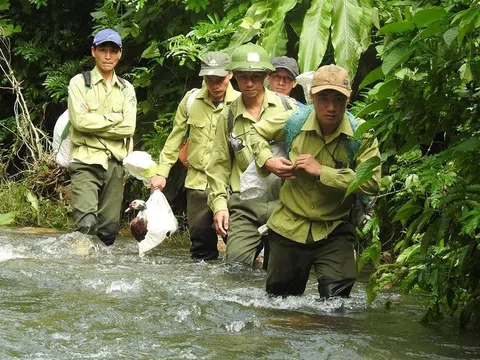 Chuyện chưa kể về những chiến binh thầm lặng bảo vệ động vật hoang dã