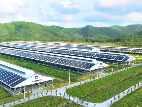 Vinamilk triển khai pin năng lượng mặt trời trên tất cả các trang trại