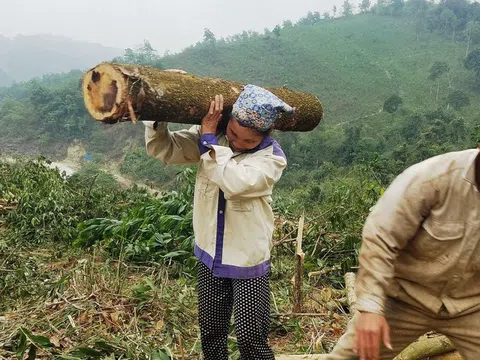 Phận đời nữ “phu keo”!