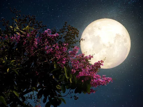 Đêm nay (26/4), người Việt Nam được chiêm ngưỡng "siêu trăng hồng" kỳ ảo