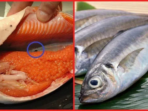 2 bộ phận không nên ăn ở cá, cẩn thận trúng độc