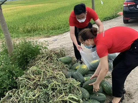 Sáng kiến giải cứu dưa hấu thành nước ép sinh tố bổ sung năng lượng cho “chiến sĩ áo trắng chống dịch covid” tại Bắc Giang