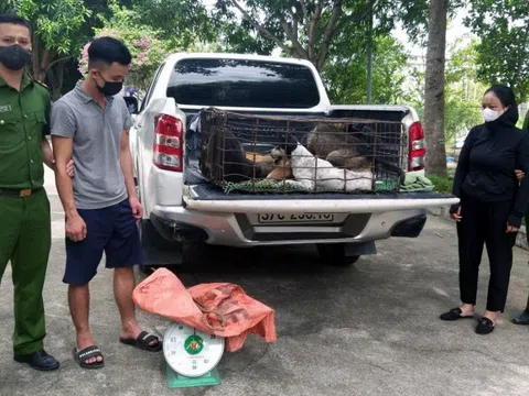 Tóm gọn nhóm “cẩu tặc” gây ra hơn 50 vụ trộm chó liên tỉnh