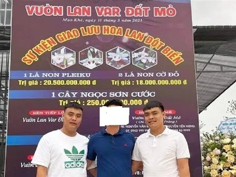Tiết lộ nguyên nhân hai anh em "đại gia" lan đột biến khét tiếng Quảng Ninh bị bắt