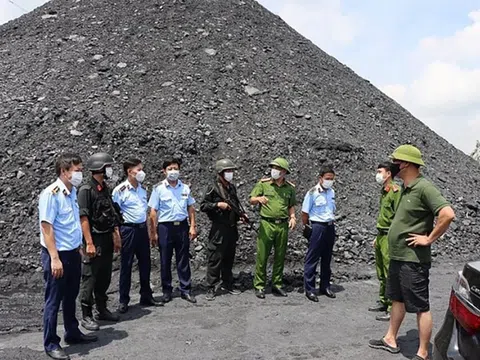 Vụ bắt đại gia lan đột biến ở Quảng Ninh: Lộ diện 'thế giới ngầm' buôn lậu hàng triệu tấn than