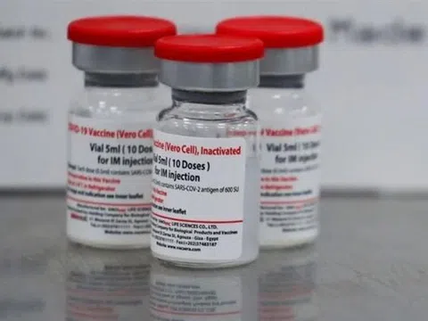 Chính phủ phê duyệt mua 20 triệu liều vaccine Vero Cell của Trung Quốc