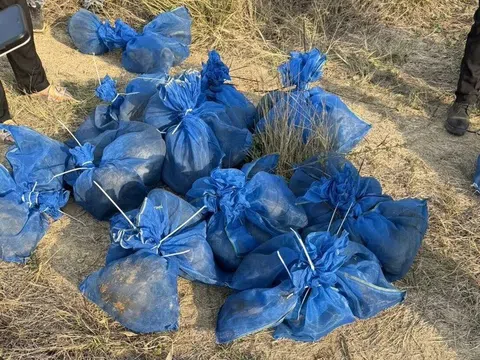 Thấy vật lạ giữa ruộng mía, kiểm tra phát hiện bí mật kinh hoàng