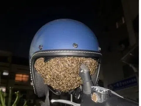 Đội mũ bảo hiểm sau 1 đêm treo ngoài trời, cô gái khuỵu ngã vì cơn đau buốt tận óc