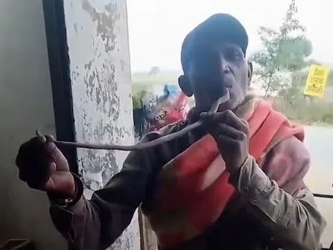 Phớt lờ tử thần để "sống ảo", người đàn ông tử nạn vì màn hôn rắn hổ mang gây sốc