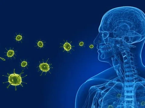 Virus gây viêm phổi trên người tại Trung Quốc: Bộ Y tế lên tiếng