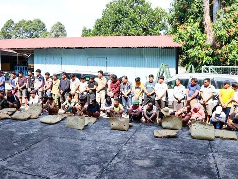 Triệt phá trường gà lớn ở tỉnh Tây Ninh