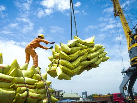 Liên tục đón tin vui, gạo Việt Nam ngày càng khẳng định vị trí trên thị trường thế giới